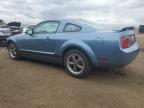 2006 Ford Mustang  for Sale in Brighton, CO - Hail