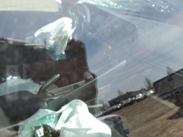  HYUNDAI ELANTRA 2025 Белый