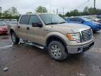 2012 Ford F150 Supercrew for Sale in Chalfont, PA - Rear End
