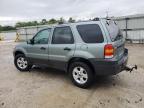 2005 Ford Escape Xlt for Sale in Walton, KY - Front End