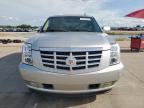 2010 Cadillac Escalade  for Sale in Grand Prairie, TX - Hail