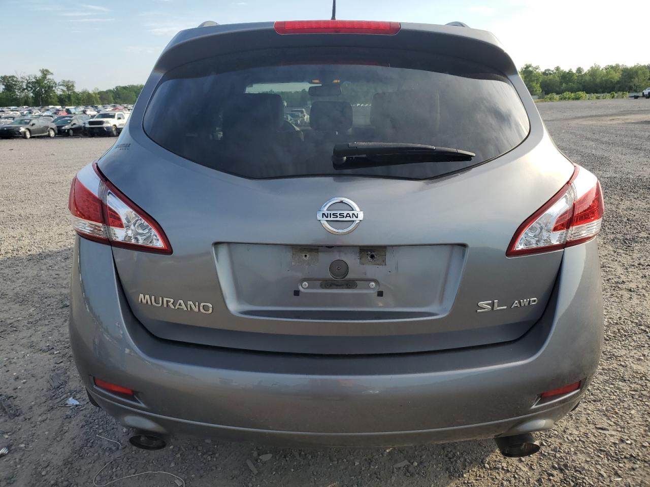 2013 Nissan Murano S VIN: JN8AZ1MW8DW308698 Lot: 56302375