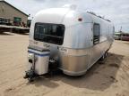 1999 Airstream Traveltrai de vânzare în Kincheloe, MI - Hail