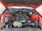 2021 Ford Mustang    for Sale in Jacksonville, FL - Front End