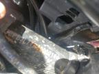 2024 CF MOTO PAPIO CL   for sale at Copart NC - GASTONIA
