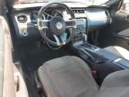2014 Ford Mustang  for Sale in Las Vegas, NV - Rear End