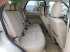 2012 Ford Escape Xlt for Sale in Appleton, WI - Front End