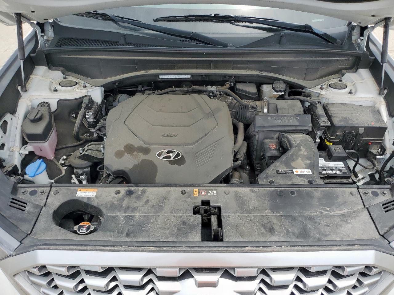 2021 Hyundai Palisade Sel VIN: KM8R2DHE1MU276349 Lot: 58044115