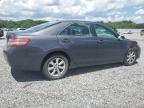 2010 Toyota Camry Base на продаже в Gastonia, NC - Front End