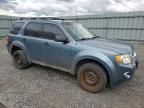 2011 Ford Escape Xlt للبيع في Ottawa، ON - Minor Dent/Scratches