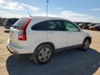 2010 Honda Cr-V Exl de vânzare în Amarillo, TX - Front End