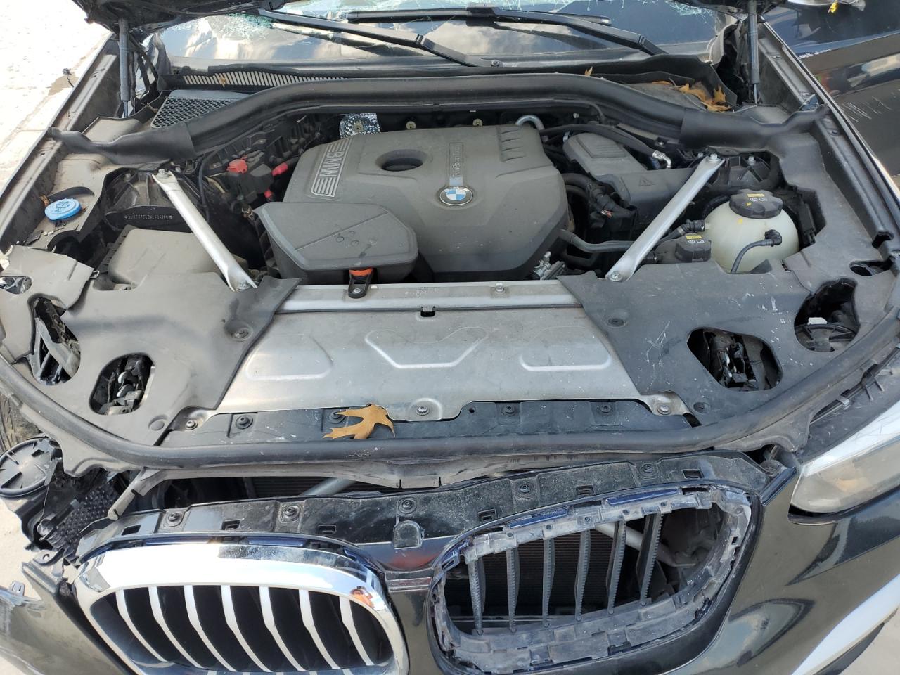 2019 BMW X3 Sdrive30I VIN: 5UXTR7C59KLF35186 Lot: 56517345