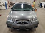2009 Honda Odyssey Exl იყიდება Blaine-ში, MN - Rear End