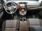 2019 Honda Cr-V Ex   en Venta en Ham Lake, MN - Rear End
