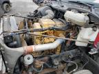 1997 FREIGHTLINER CONVENTIONAL FLC120   à vendre chez Copart ON - COOKSTOWN