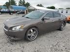 Prairie Grove, AR에서 판매 중인 2014 Nissan Maxima S - Rear End