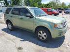 2008 Ford Escape Xlt for Sale in Bridgeton, MO - Rear End