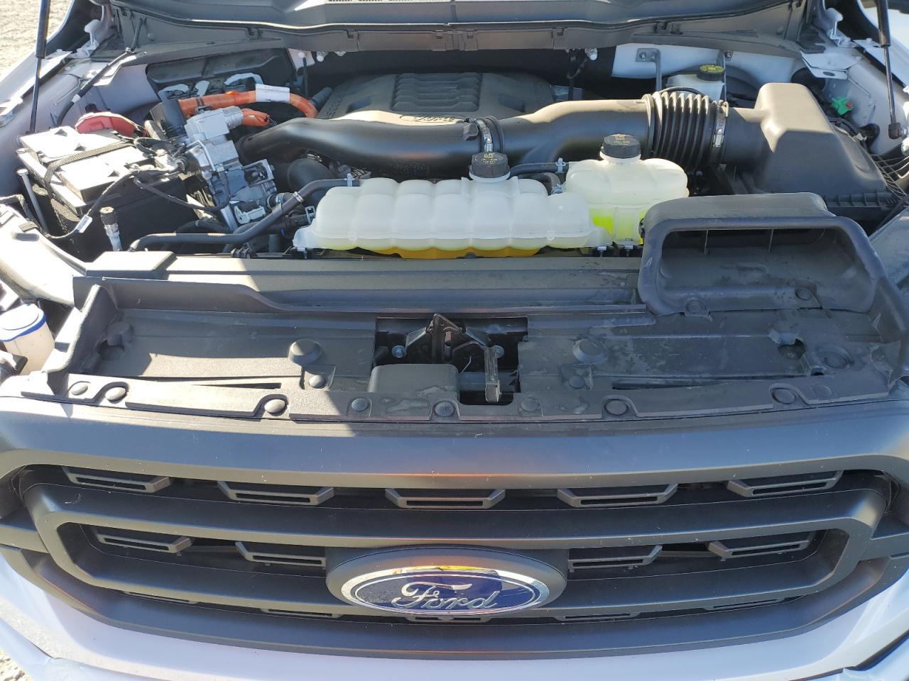1FTFW1ED6PFD10526 FORD F-150 2023