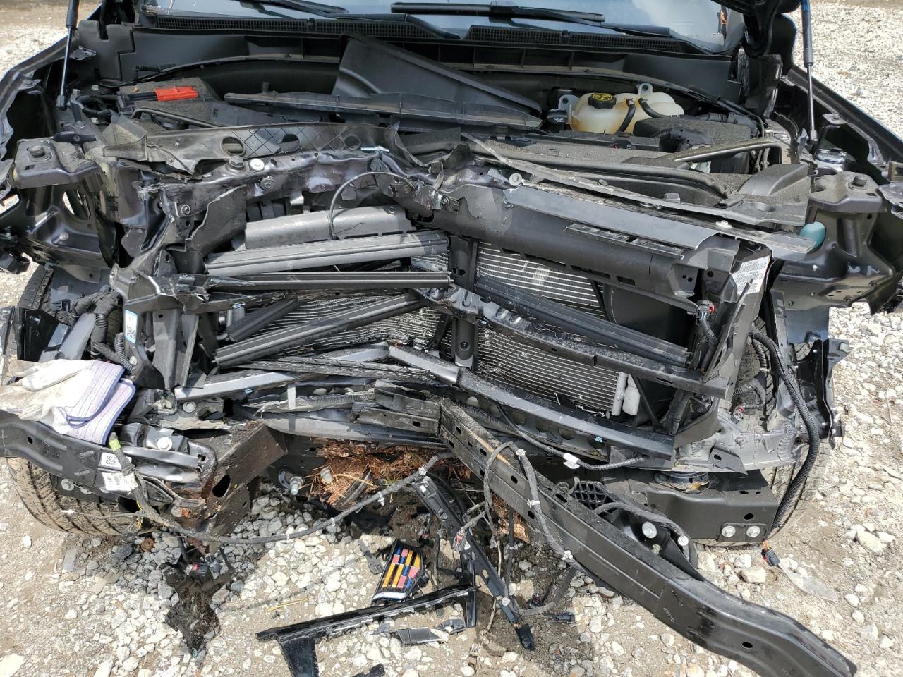 2022 Cadillac Escalade Sport VIN: 1GYS4EKL4NR350441 Lot: 55472895