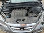 2006 Honda Odyssey Exl zu verkaufen in Elgin, IL - Front End