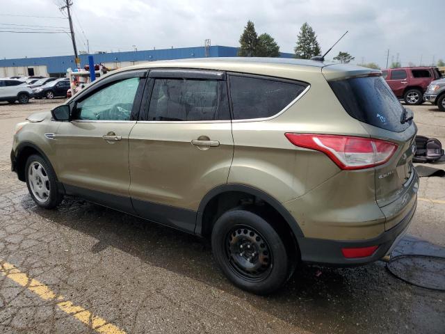  FORD ESCAPE 2013 Green