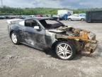 2019 Ford Mustang  for Sale in West Mifflin, PA - Burn