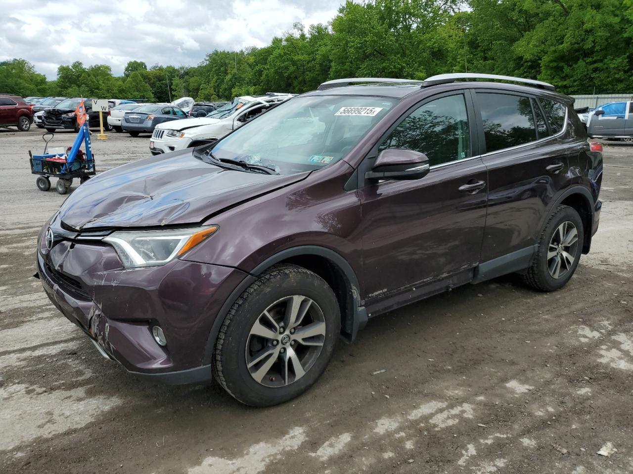 2T3RFREV0GW490797 TOYOTA RAV4 2016