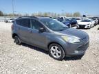 Appleton, WI에서 판매 중인 2014 Ford Escape Se - Side