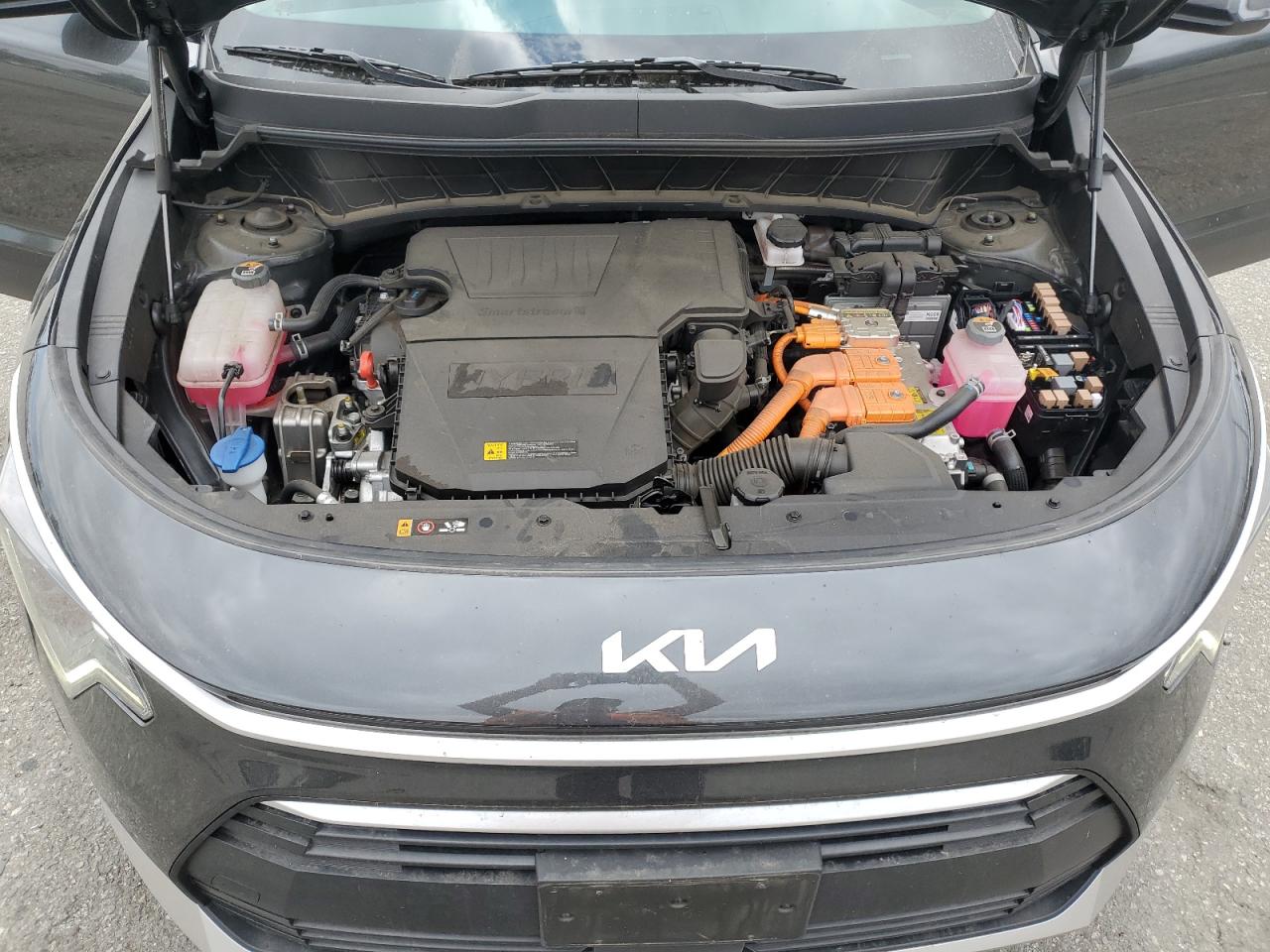 2024 Kia Niro Ex VIN: KNDCR3LE1R5167608 Lot: 54744595