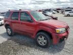2007 Ford Escape Limited for Sale in Earlington, KY - Front End