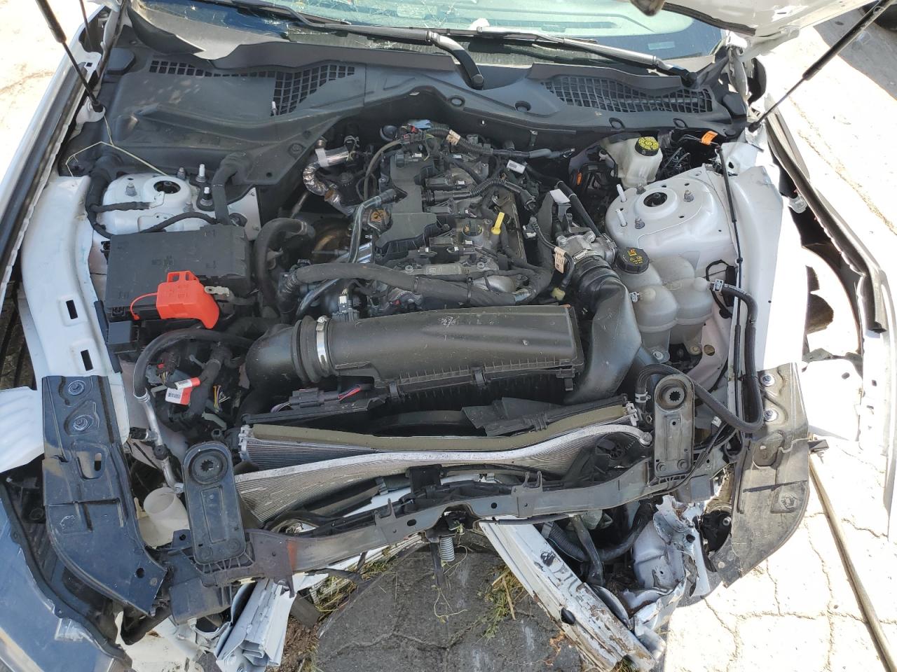 1FA6P8TH6R5106626 FORD ALL Models 2024