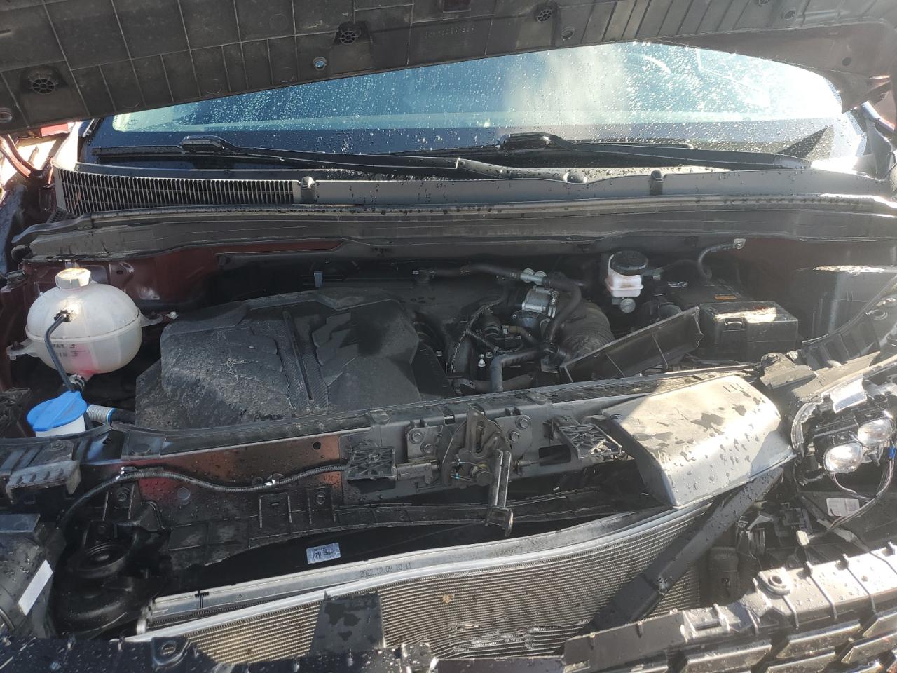 2023 Kia Carnival Sx VIN: KNDNE5H3XP6268788 Lot: 57059855