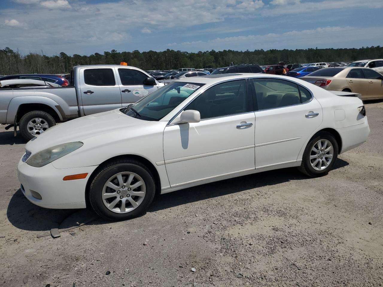 2003 Lexus Es 300 for Sale in Harleyville, SC - Rear End