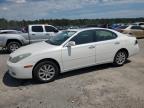 2003 Lexus Es 300 for Sale in Harleyville, SC - Rear End