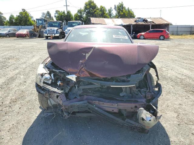  HONDA ACCORD 2013 Maroon