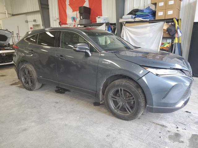  TOYOTA VENZA 2021 Blue