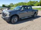 2015 Ford F150 Supercrew იყიდება Davison-ში, MI - Rear End