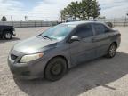 2009 Toyota Corolla Base for Sale in Anthony, TX - Side