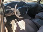 1994 Ford F150  for Sale in Brighton, CO - Hail