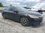 2016 Honda Accord Ex   for Sale in Walton, KY - Minor Dent/Scratches