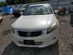2009 Honda Accord Exl de vânzare în Riverview, FL - Rear End