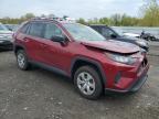 2021 Toyota Rav4 Le de vânzare în Assonet, MA - Front End