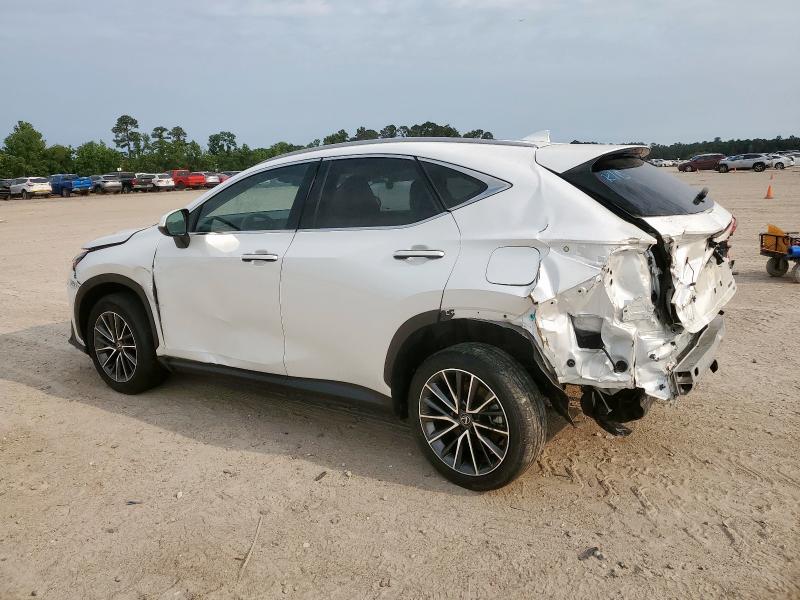  LEXUS NX 350 PRE 2024 Biały