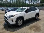 2025 Toyota Rav4 Xle for Sale in Harleyville, SC - Rollover