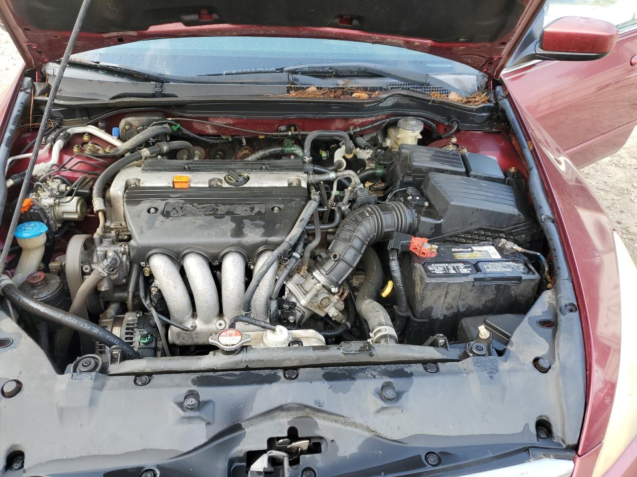 2006 Honda Accord Se VIN: 1HGCM56336A017637 Lot: 57295905