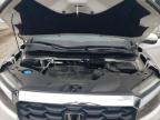 2024 Honda Passport Exl for Sale in Seaford, DE - Rear End