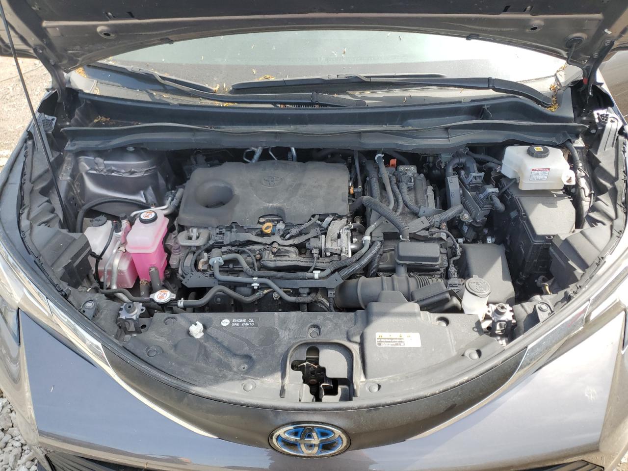 2021 Toyota Sienna Xle VIN: 5TDYRKEC5MS071902 Lot: 56176765