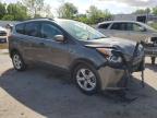 2014 Ford Escape Se   for Sale in Bridgeton, MO - Front End