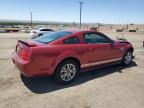 2005 Ford Mustang  for Sale in Albuquerque, NM - Front End