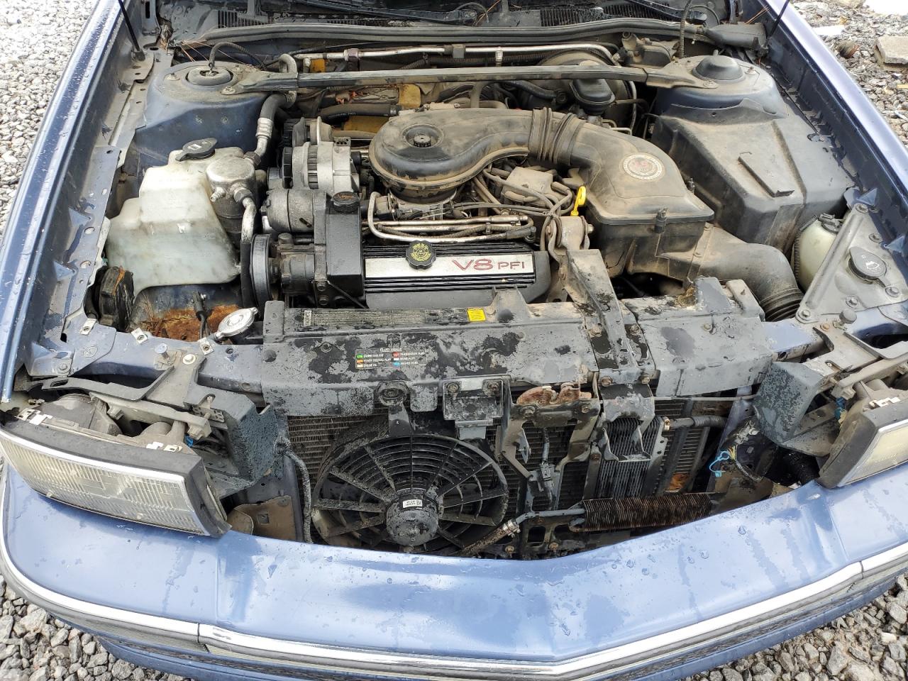 1995 Cadillac Deville VIN: 1G6KD52B3SU243924 Lot: 56945395